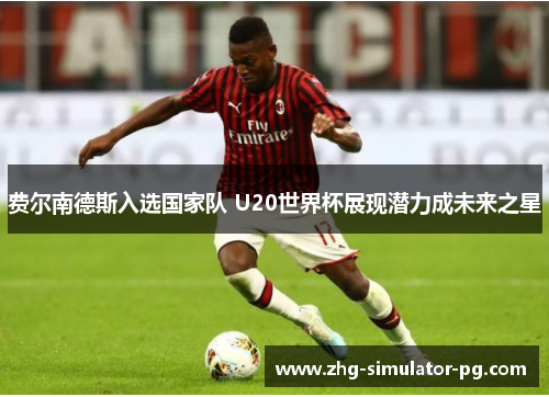 费尔南德斯入选国家队 U20世界杯展现潜力成未来之星 费尔南德斯入选国家队 U20世界杯展现潜力成未来之星